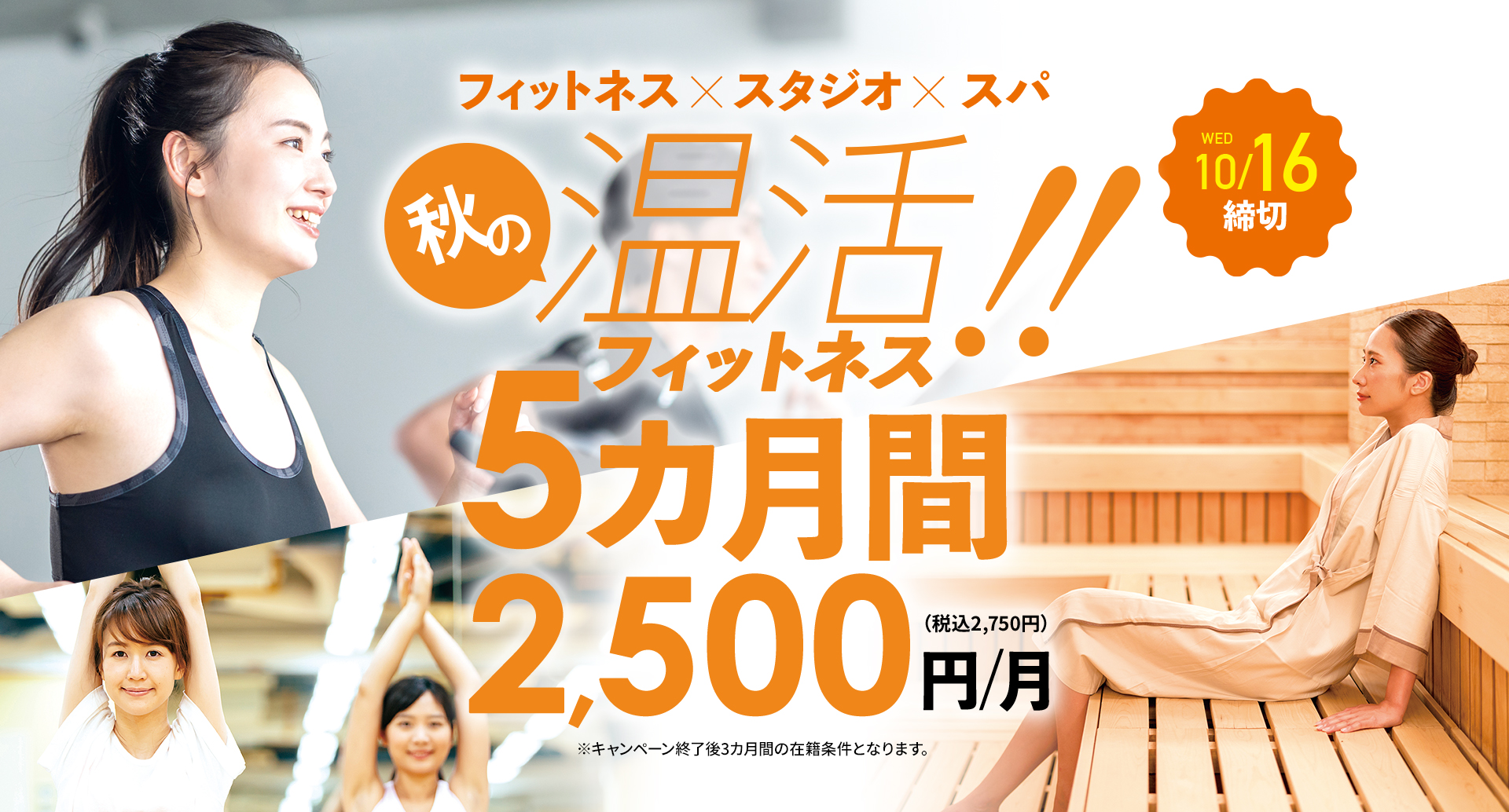 まずはお試し5カ月間2,500円/月