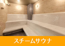 スチームサウナ