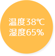 温度38℃ 湿度65℃