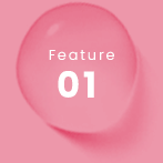 Feature01