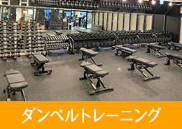 ストレッチエリア